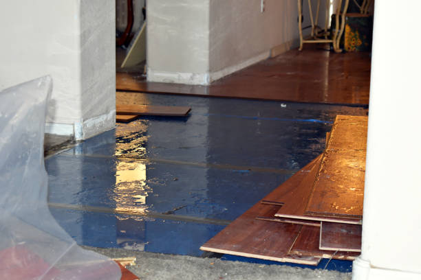 Professional Burst Pipe Cleanup technician working in Rock Island, IL